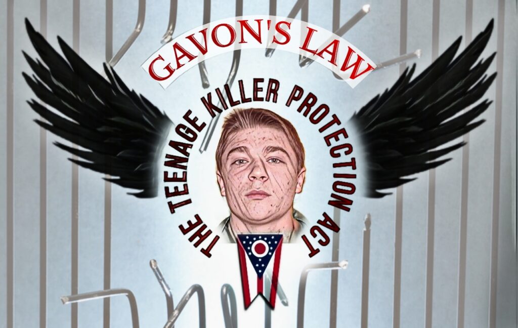 This image has an empty alt attribute; its file name is GAVONS-LAW-1024x648.jpg